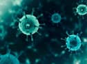 Coronavirus