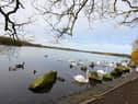 Free WiFi has been installed at Pennington Flash and Pennington Hall Park