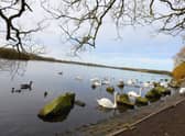 Free WiFi has been installed at Pennington Flash and Pennington Hall Park