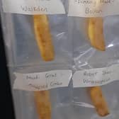 Boris Bennett, 35, started to collect chips around a month ago
