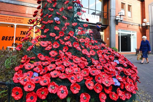 A display of the Flanders field blooms outside The Galleries
