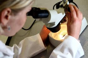 A new approach to potentially treat Alzheimer's disease and vaccinate against it has been developed by scientists