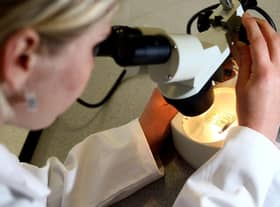 A new approach to potentially treat Alzheimer's disease and vaccinate against it has been developed by scientists