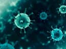 Coronavirus cases appear to be on the decline in Wigan