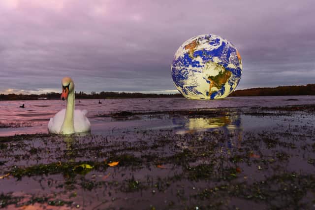The Floating Earth on Pennington Flash