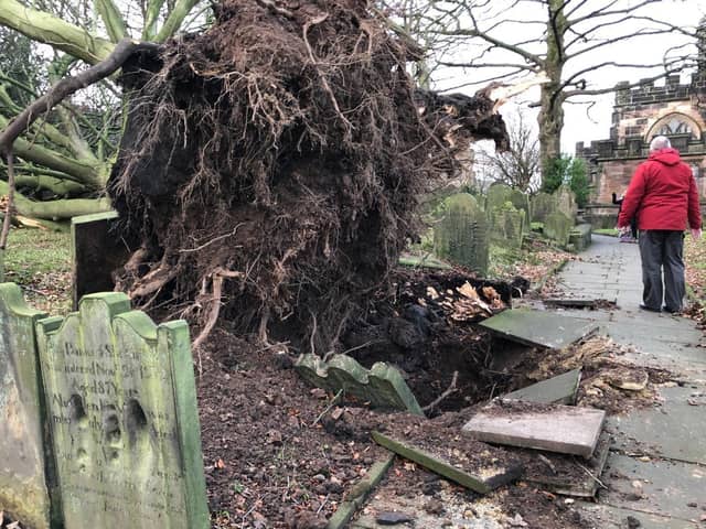 Storm Arwen uprooted a tree at St Wilfrid's in Standish