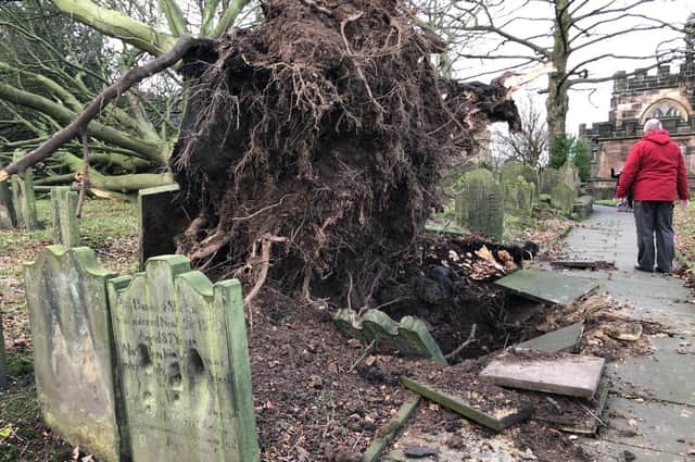 Storm Arwen uprooted a tree at St Wilfrid's in Standish
