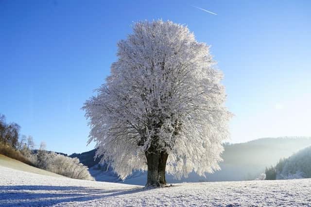 The cold will return on Friday and into the weekend