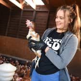 Volunteer Madison Hesketh with hens on a rescue day