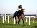 Vieux Lion Rouge goes on to win the Becher Chase at Aintree in 2020