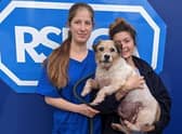 Nurses from the RSPCA's Greater Manchester Animal Hospital with Poppy, the 11-year-old Jack Russell terrier. The RSPCA stepped in to help when Poppy's pensioner owner, an Army veteran from Blackburn, couldn't afford to have dozens of bladderstones removed his beloved pet