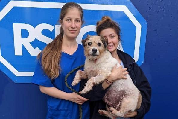 Nurses from the RSPCA's Greater Manchester Animal Hospital with Poppy, the 11-year-old Jack Russell terrier. The RSPCA stepped in to help when Poppy's pensioner owner, an Army veteran from Blackburn, couldn't afford to have dozens of bladderstones removed his beloved pet