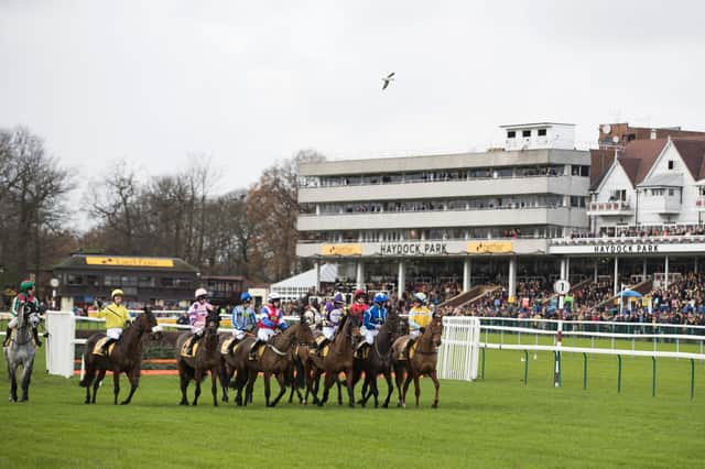 Tommy Whittle day is the highlight of the weekend racing with a cracking seven-race card taking centre-stage at Haydock Park.