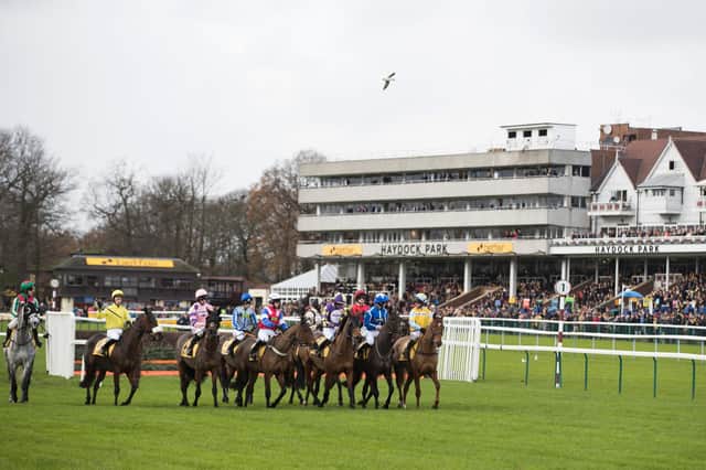 Haydock Park stage their final raceday of the season on Thursday afternoon with a seven-race card at the venue
