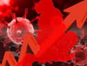 Almost than one in three people in Wigan who took a PCR test in the run up to Christmas turned out to have Covid