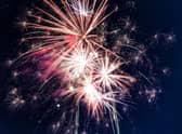 While fireworks might be enjoyable for us, they can be terrifying for our pets.