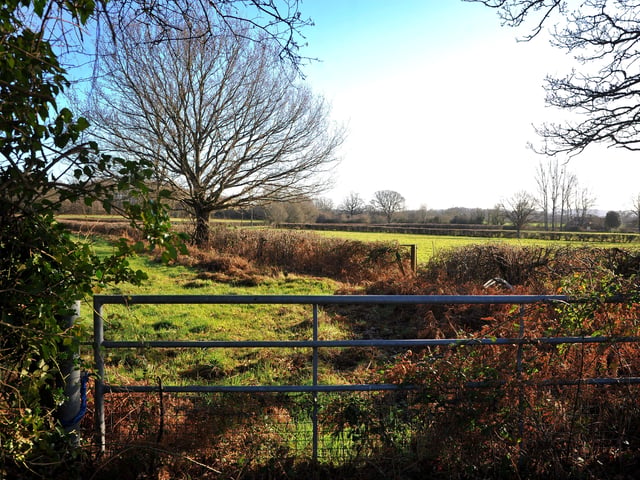 There is a number of walks where you can explore the Lurgashall, Lodsworth and Lickfold triangle.