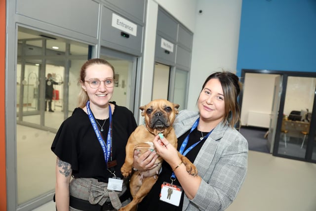 Bella the pat dog is one of six pooches that work in the prison l-r Charlotte Baynes (children and family relationships manager), Bella, Gemma Westley (family support worker) actively encourage the men to build family ties