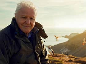 “Scotland is a wonderfully fascinating place for wildlife and nature. It has, in my opinion, some of the most marvellous landscapes and wildlife spectacles you will find anywhere.”