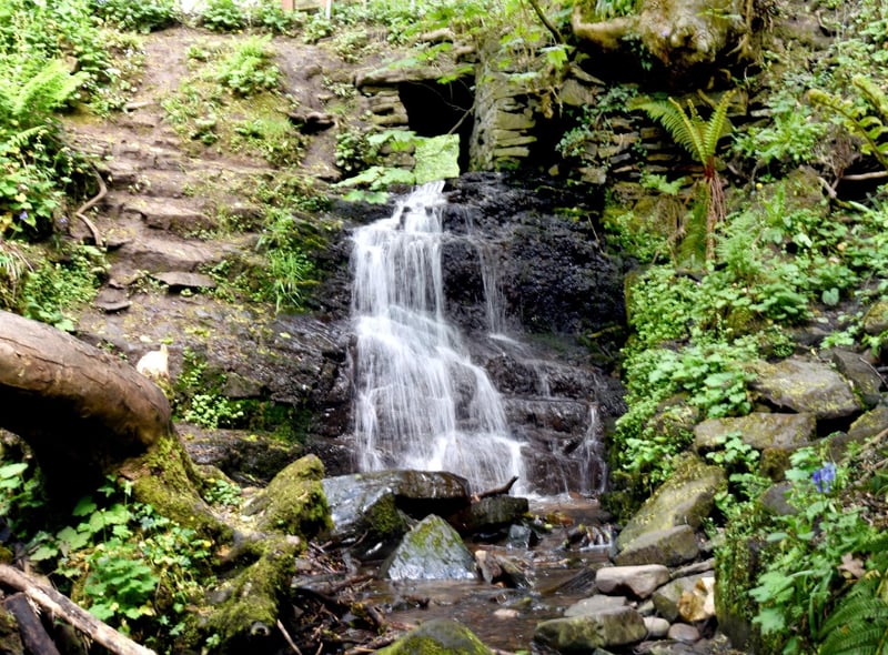 Fairy Glen used to be a hidden gem, but has become more popular in recent years as more visitors enjoy walks in the scenic woodland.