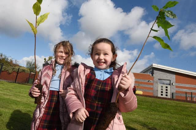 Pupils at Hindley Junior and Infant School plant trees