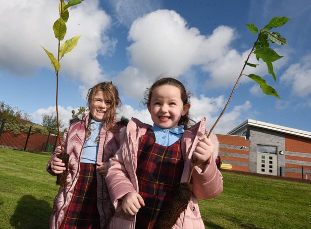 Pupils at Hindley Junior and Infant School plant trees