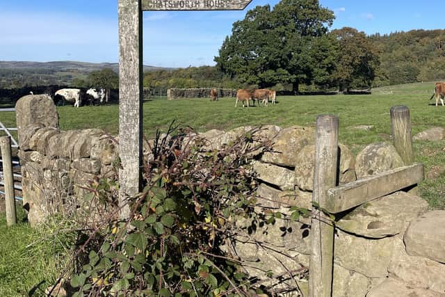 The Peak District boasts an abundance of stunning countryside walks and cycling trails. Image: Peak Edge Hotel