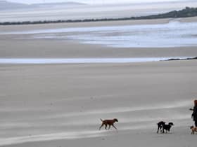 Which beaches made the cut at the Blue Flag awards 2023