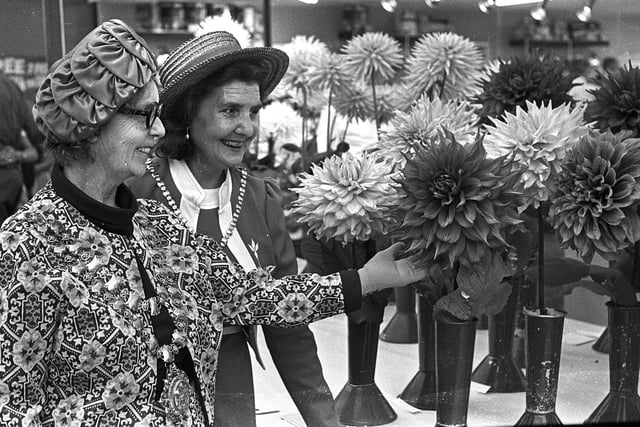 Retro 1972 - Wigan Annual Summer Show in Mesnes Park