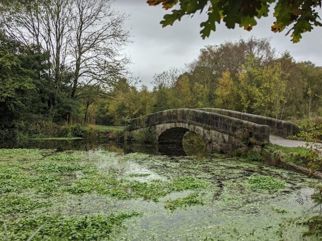 Many people will visit Haigh Woodland Park for a walk