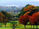 Haigh Woodland Park is the top place to visit, whether it's for a peaceful stroll through the plantations, fun in the adventure playground or one of the many events held there.
