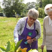 Older people can have their say on how their lives could be improved