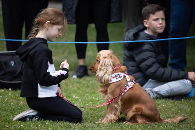 Scrufts dog show is returning to Haigh Woodland Park