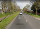 Beech Hill Avenue