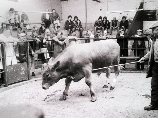 Wigan cattle market