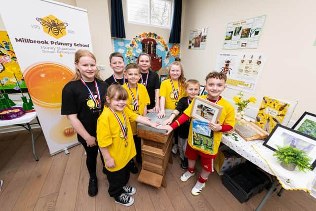 Millbrook Primary School pupils at last year's spring show