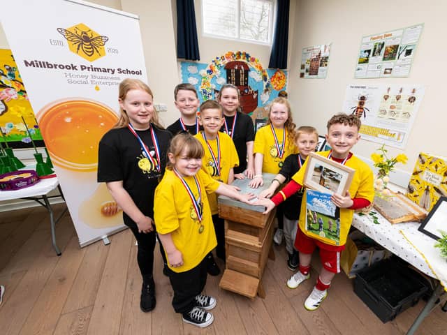 Millbrook Primary School pupils at last year's spring show