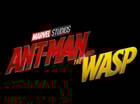 Only in the MCU do sequels regularly outrank their forerunners, with Ant-Man and the Wasp scoring 87%. Paul Rudd and Evangeline Lilly bring a lighter note to the MCU, while also paving the way for the Avengers to save half of the universe with their foray into the Quantum Realm.