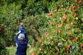 Apple Day at Lotherton Hall, near Leds