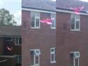 One of the world's rarest birds may have been spotted... in Nelson! Kelly Lunney couldn't believe her eyes when she saw a pink pigeon fluttering around Netherfield Gardens. For if it was what was known as a Nesoenas Mayeri, a species of pigeon endemic to Mauritius, there are just 500 left in the world. Kelly was able to take a few photos and video footage of the eye catching bird as it kept returning to the same place
