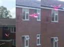 One of the world's rarest birds may have been spotted... in Nelson! Kelly Lunney couldn't believe her eyes when she saw a pink pigeon fluttering around Netherfield Gardens. For if it was what was known as a Nesoenas Mayeri, a species of pigeon endemic to Mauritius, there are just 500 left in the world. Kelly was able to take a few photos and video footage of the eye catching bird as it kept returning to the same place