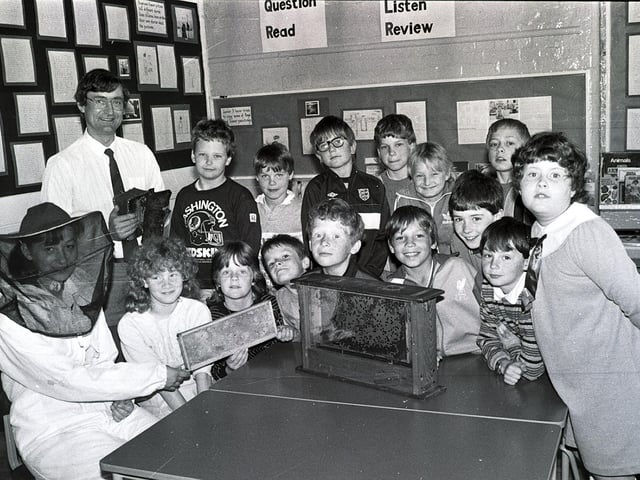 A visit by a beekeeper to St John's Primary School in New Springs, Wigan in 1986