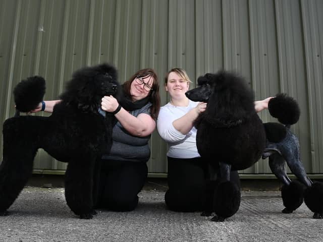 Dog owners from Aspull, Sam Speakman, left, with Aster and Rebecca Moores, right, with Tonic,
