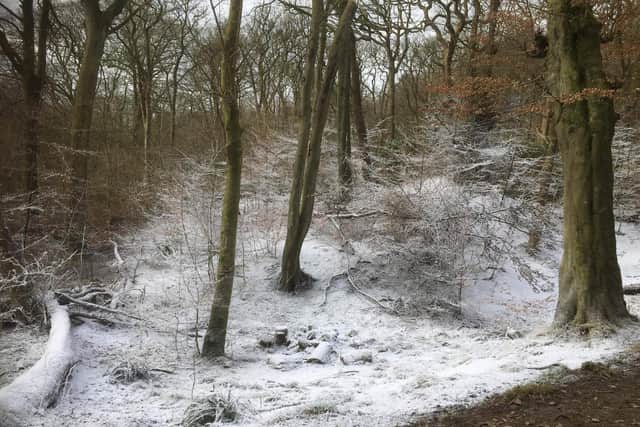 A snow scene in Haigh Hall as a TV crew shoots the new comedy horror series Passenger