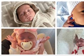 New arrivals in January and February 2025