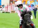 Action from the Shetland Pony Grand National at the the Royal Lancashire Agricultural Show 2021. Photo: Kelvin Stuttard