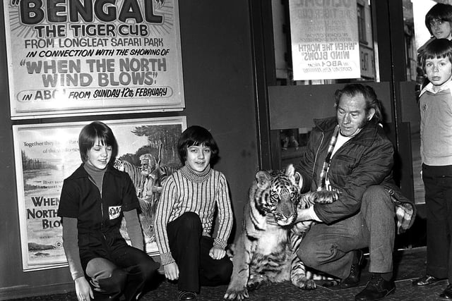 RETRO 1978 - A Bengal Tiger cub greeted Saturday morning ABC Cinema minors club members in Wigan, to launch the film When the North Wind Blows.