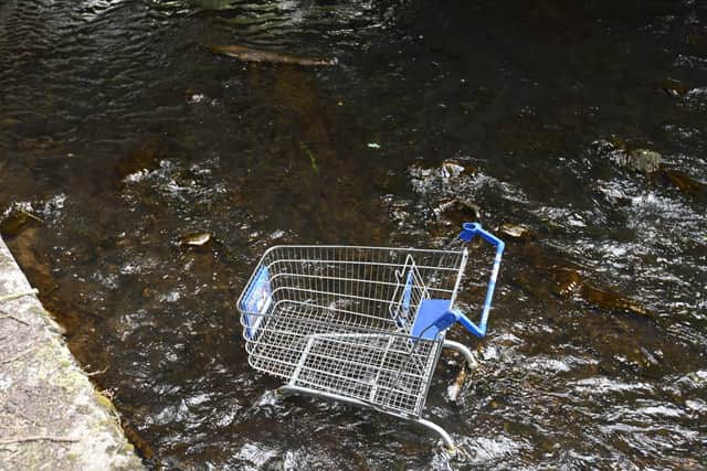 Seven trolleys have been dumped in the water