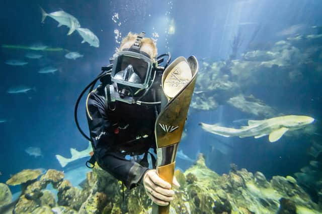 Diver Sebastian Prajsnar carries the Queen's baton in the aquarium at The Deep sealife attraction in Hull