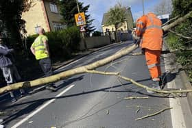 The fallen tree on Wigan Lower Road is sawn up